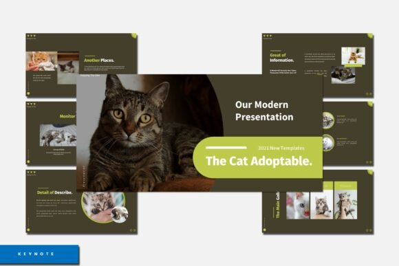 The Cat Adoptable - Keynote