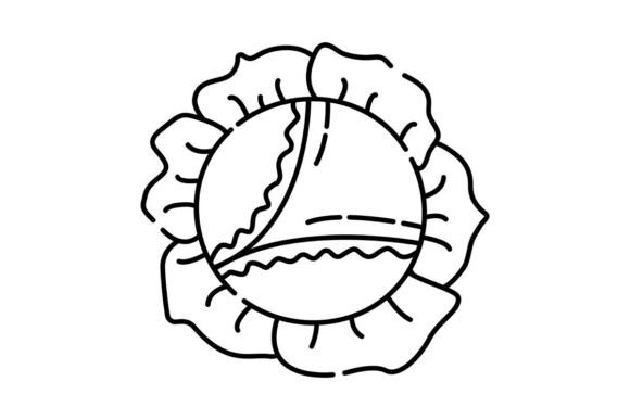 White Cabbage Black Line Illustration